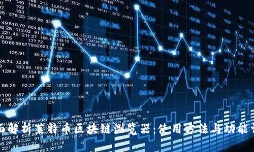 全面解析莱特币区块链浏览器：使用方法与功能详解