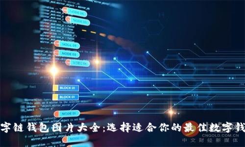数字链钱包图片大全：选择适合你的最佳数字钱包