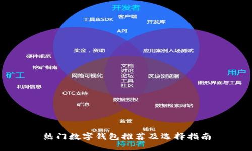 热门数字钱包推荐及选择指南