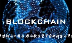 区块链与比特币：揭示搜