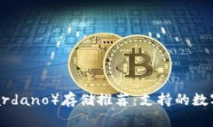 艾达币（Cardano）存储推荐