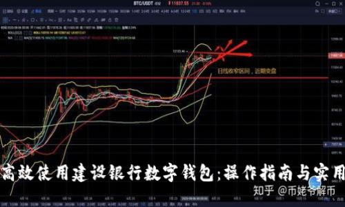 如何高效使用建设银行数字钱包：操作指南与实用技巧
