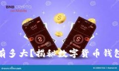最大的数字钱包有多大？