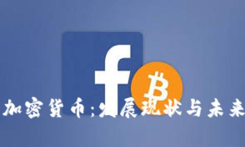 中国人的加密货币：发展现状与未来前景解析