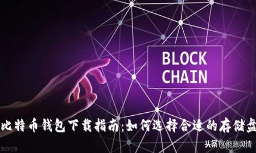 比特币钱包下载指南：如何选择合适的存储盘