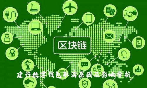 建行数字钱包取消原因及影响分析