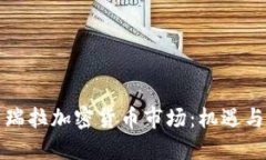 委内瑞拉加密货币市场：