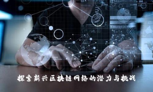 探索新兴区块链网络的潜力与挑战