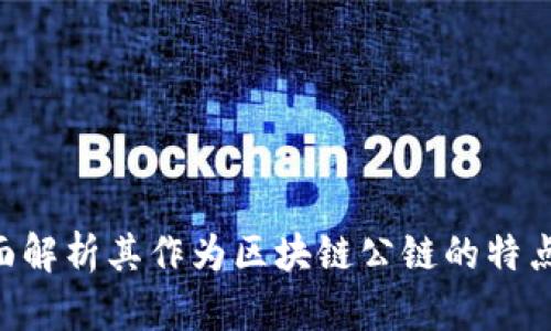 ESSA币：全面解析其作为区块链公链的特点和发展前景