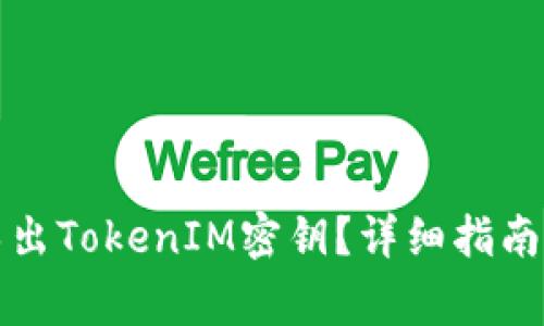 如何安全导出TokenIM密钥？详细指南与注意事项