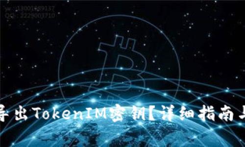 如何安全导出TokenIM密钥？详细指南与注意事项