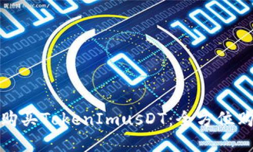在哪里购买TokenImusDT：全方位购买指南