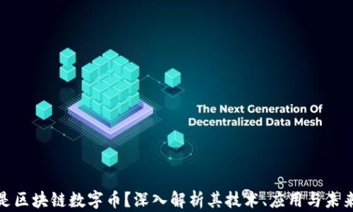 
什么是区块链数字币？深入解析其技术、应用与未来趋势