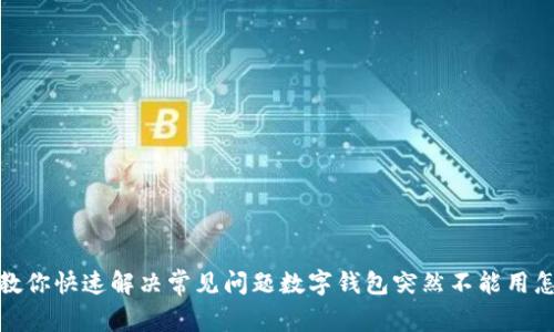 数字钱包突然不能用怎么办？教你快速解决常见问题数字钱包突然不能用怎么办？教你快速解决常见问题