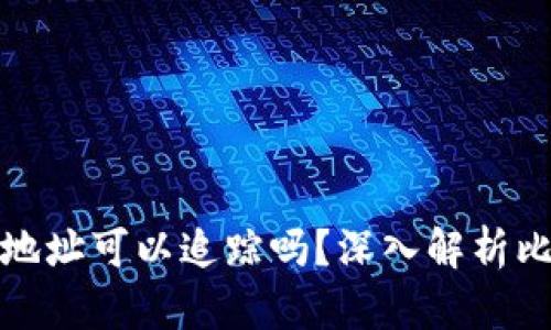 比特币钱包的IP地址可以追踪吗？深入解析比特币隐私与安全