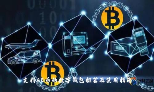 支持AE币的数字钱包推荐及使用指南