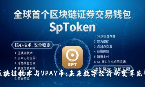 区块链技术与VPAY币：未来数字经济的变革先锋