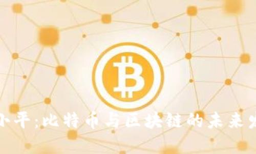 徐小平：比特币与区块链的未来发展