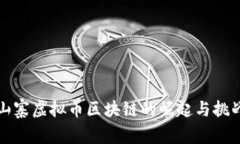 山寨虚拟币区块链的崛起