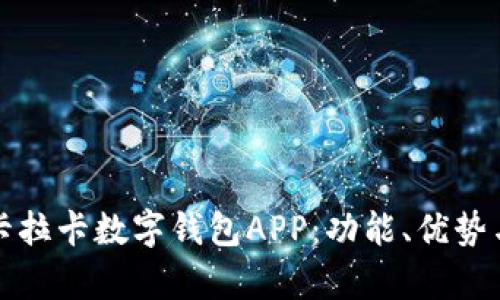 全面解析卡拉卡数字钱包APP：功能、优势与使用技巧