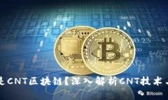 什么是CNT区块链？深入解