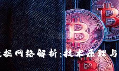 区块链数据网络解析：技术原理与应用前景