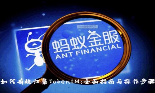 如何有效归集TokenIM：全面指南与操作步骤