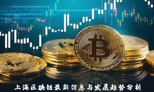 
上海区块链最新信息与发展趋势分析