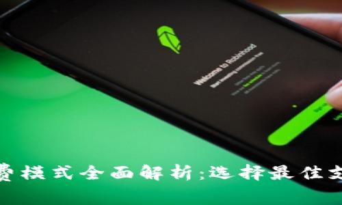 数字钱包收费模式全面解析：选择最佳支付解决方案