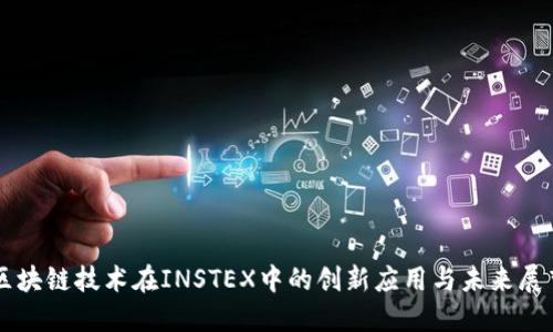 区块链技术在INSTEX中的创新应用与未来展望