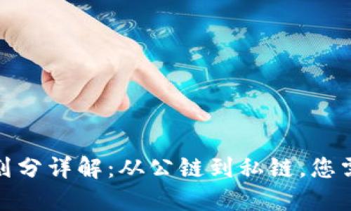 : 区块链等级划分详解：从公链到私链，您需要了解的一切