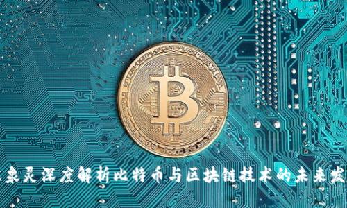 张泉灵深度解析比特币与区块链技术的未来发展