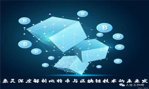 张泉灵深度解析比特币与区块链技术的未来发展