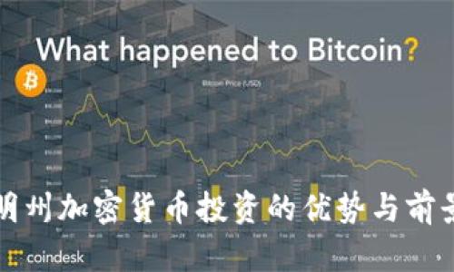 “怀俄明州加密货币投资的优势与前景分析”