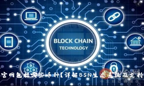 BSN区块链官网包括哪些币种？详解BSN生态系统及支持的数字资产