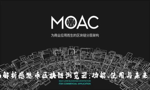 全面解析感恩币区块链浏览器：功能、使用与未来发展