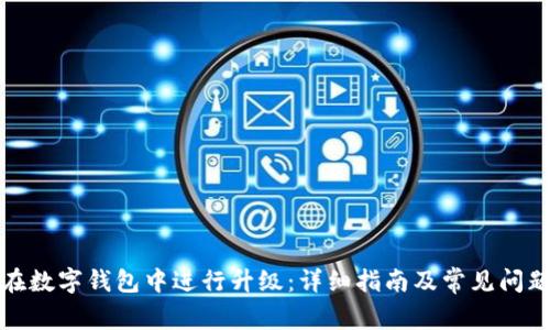 如何在数字钱包中进行升级：详细指南及常见问题解答