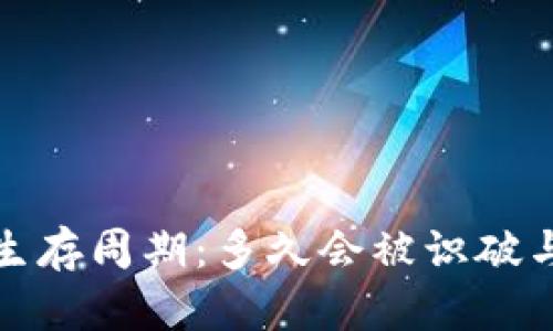 假区块链币的生存周期：多久会被识破与其背后的原因