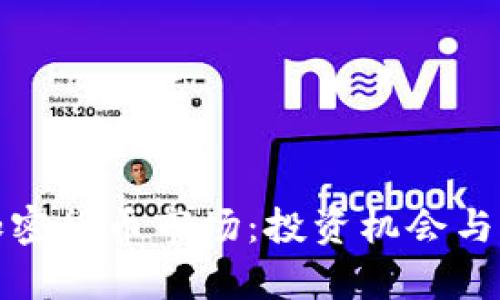 俄罗斯加密货币市场：投资机会与风险分析