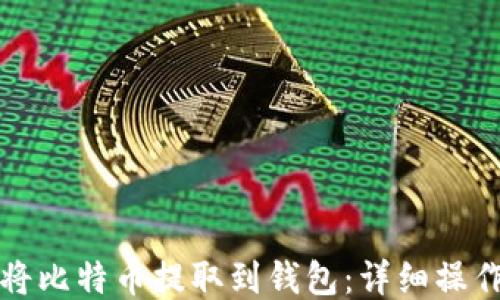 
如何将比特币提取到钱包：详细操作指南