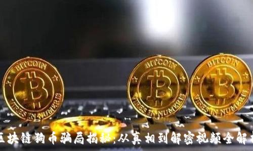   
区块链狗币骗局揭秘：从真相到解密视频全解析