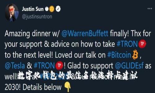 数字化钱包的最佳名称选择与建议