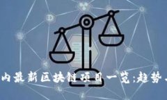 2023年国内最新区块链项目
