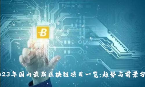 2023年国内最新区块链项目一览：趋势与前景分析