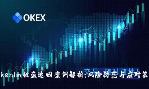 Tokenim被盗追回案例解析：风险防范与应对策略