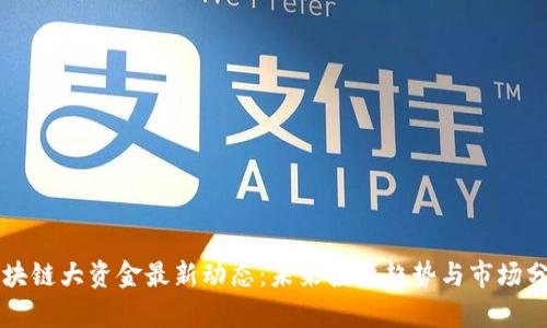 区块链大资金最新动态：未来投资趋势与市场分析