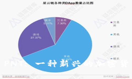 ### PNT: 一种新兴的加密货币概述