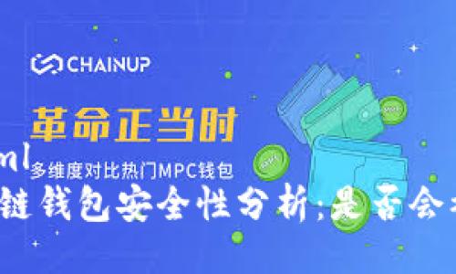```xml
区块链钱包安全性分析：是否会被盗？