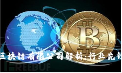 比特币大陆区块链有限公司解析：行业先锋与未来趋势