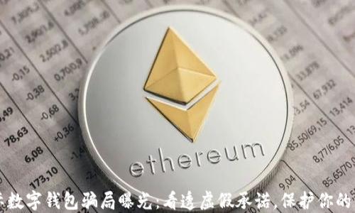 
国际数字钱包骗局曝光：看透虚假承诺，保护你的资产